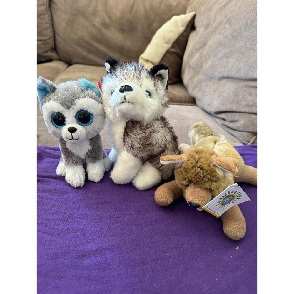 Ty Wildlife Artists Plush Lot 3 Kids OS‎ Multicolor Excellent Husky Coyote Pup